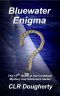 [Bluewater Thrillers 13] • Bluewater Enigma